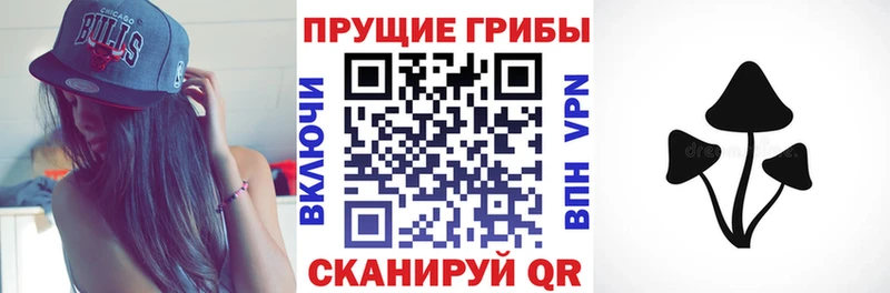 где найти наркотики  Новопавловск  Псилоцибиновые грибы MAGIC MUSHROOMS 